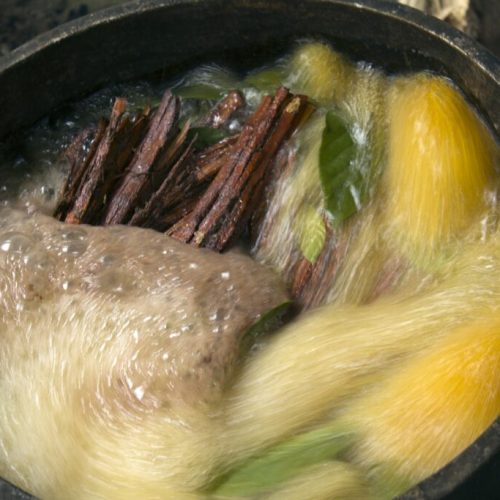 Preparo do chá Ayahuasca (Daime ou Vegetal)
