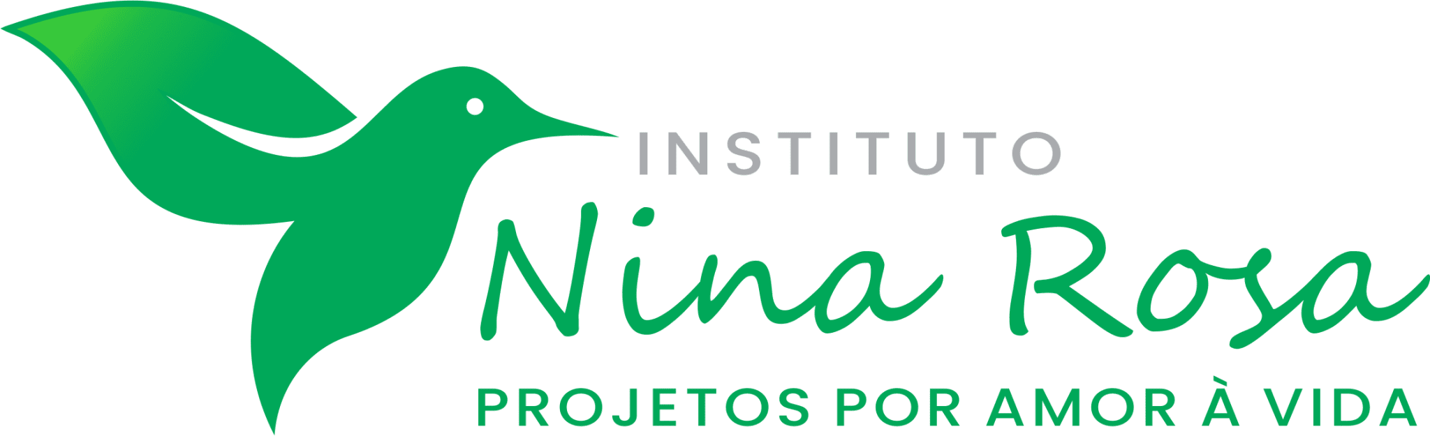 Instituto nina rosa