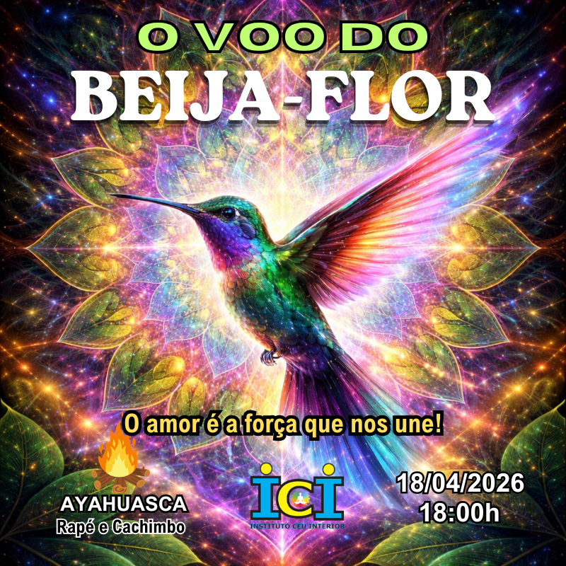 VOO DO BEIJA FLOR